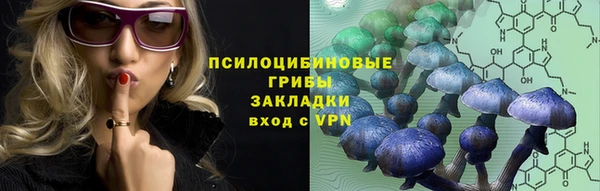 меф Пересвет