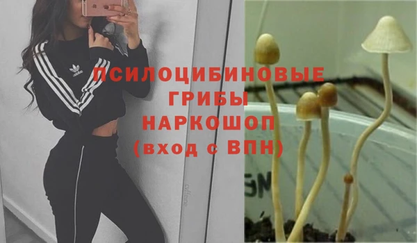 тгк Инта
