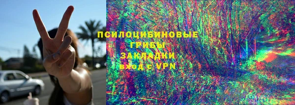 тгк Инта