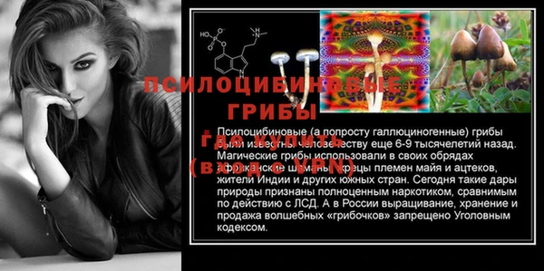 тгк Инта