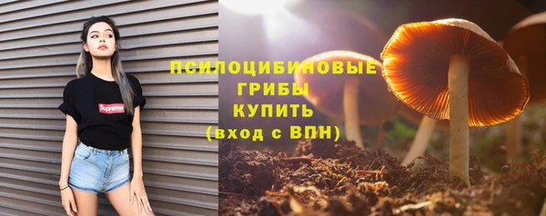 ALPHA-PVP Инсар
