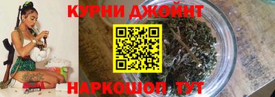 ПСИЛОЦИБИНОВЫЕ ГРИБЫ Новозыбков