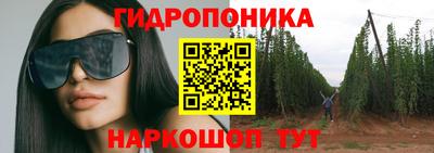 ПСИЛОЦИБИНОВЫЕ ГРИБЫ Новозыбков